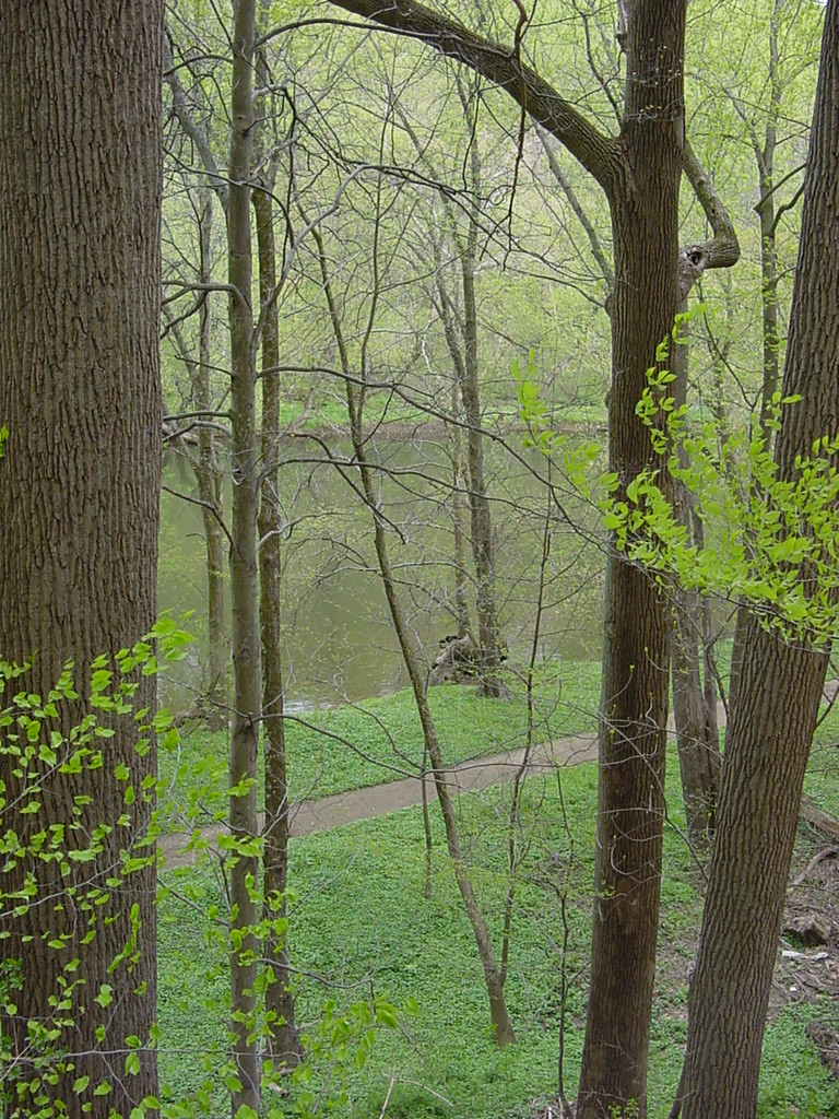 Trail at Brandywine State Park