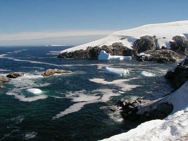 Peterman Island icebergs