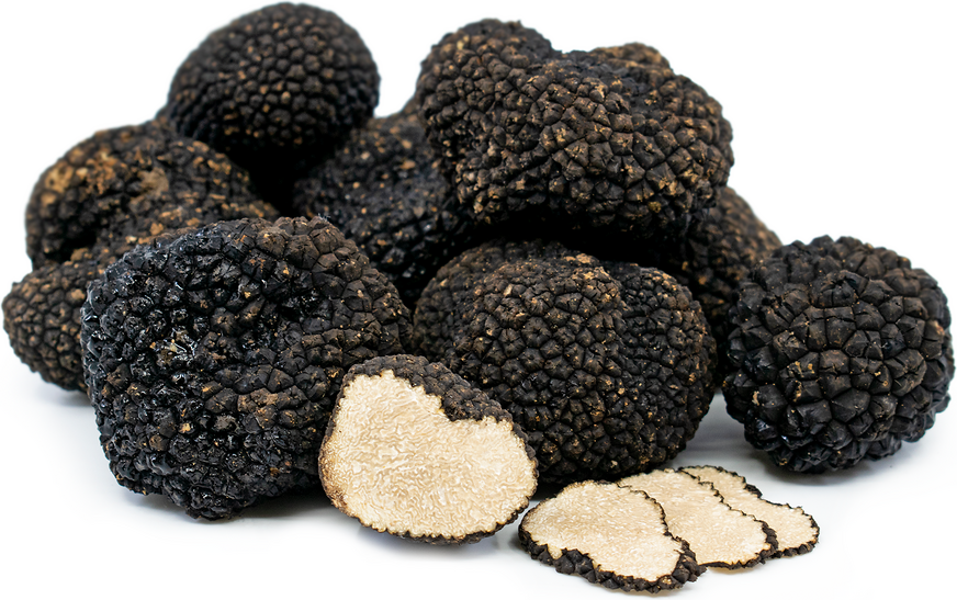 Italian Black Summer Truffles Information, Recipes and Facts