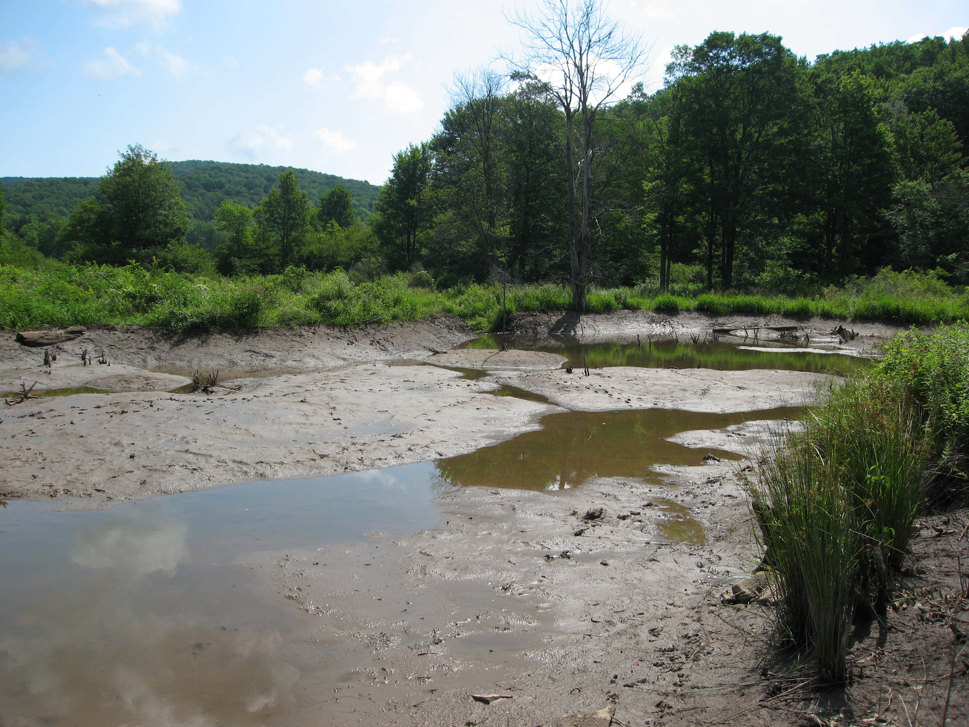 File:Broken Beaver Dam.jpg - Wikipedia