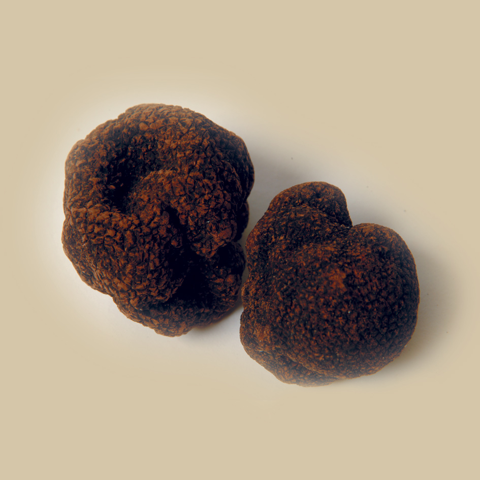 Truffes de Bourgogne - V\u00e9g\u00e9pack