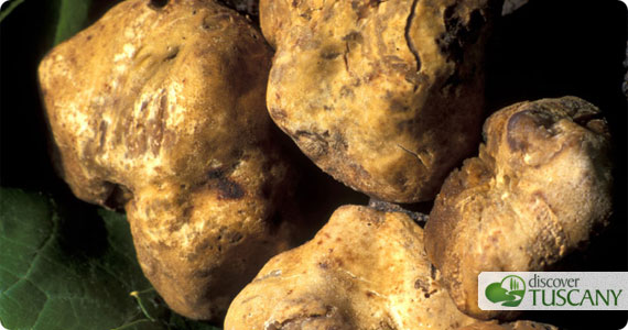 San Miniato White Truffle Festival in November 2011