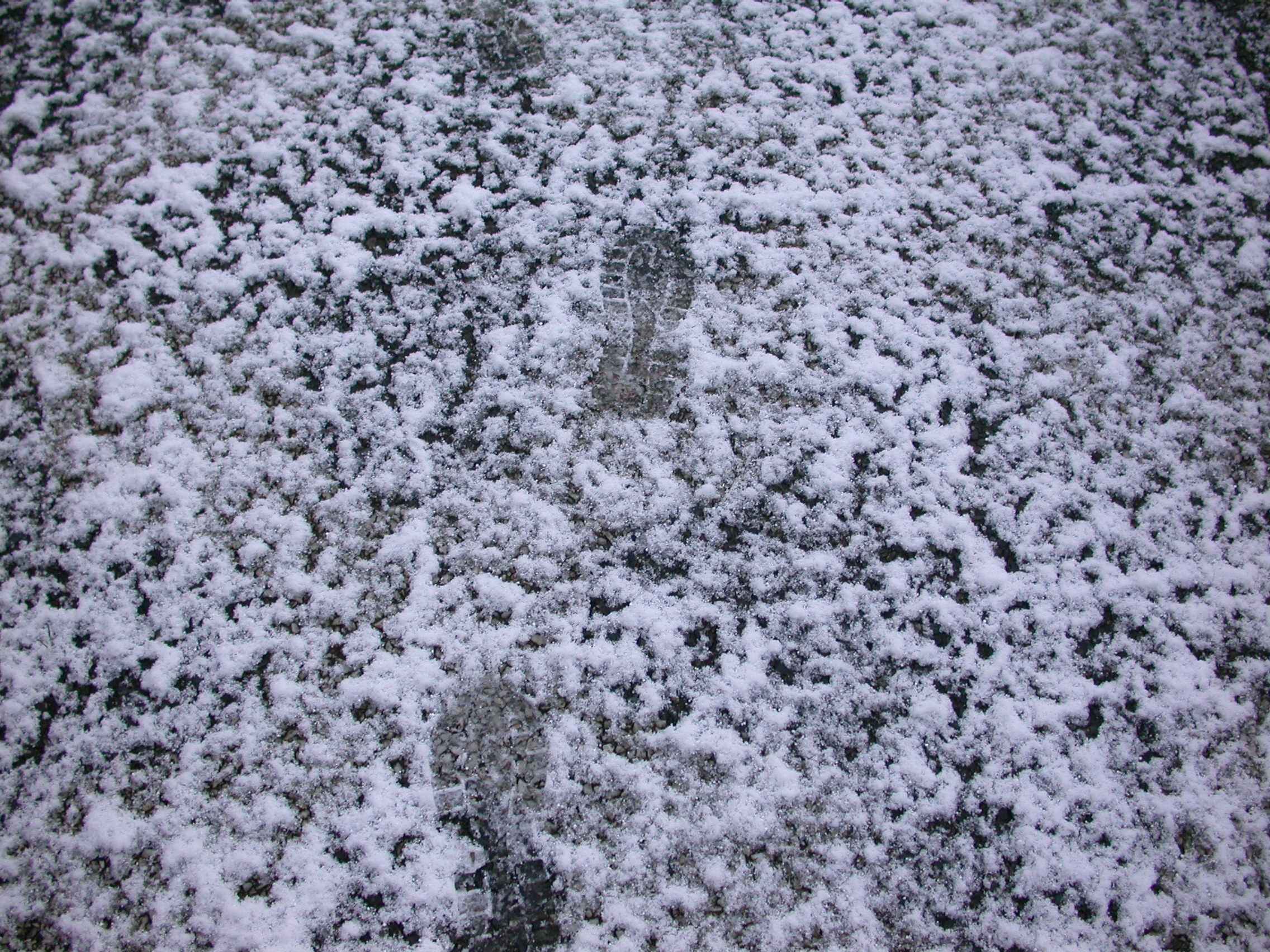 eva footsteps steps in the snow cold winter frost royalty