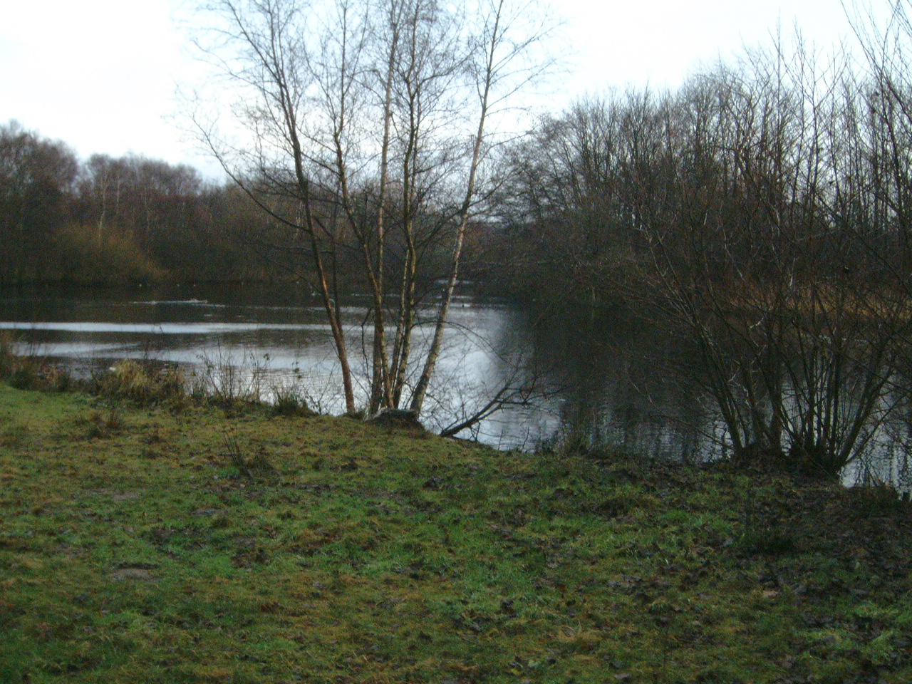 maartent lake in winter bare trees water side