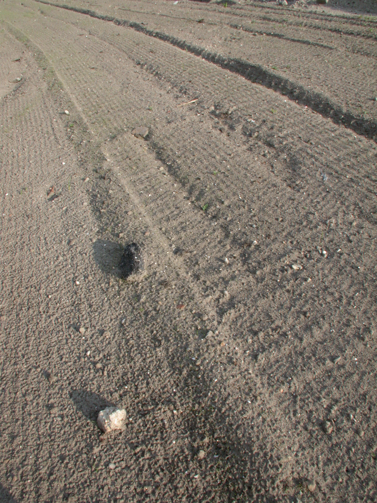 tracks in sand land