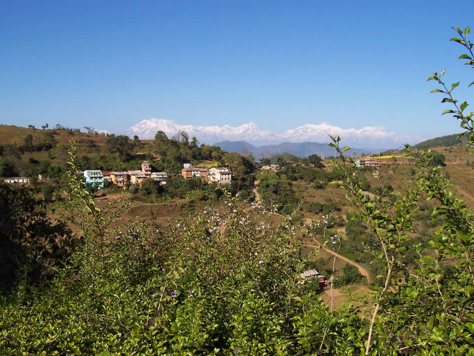 annet village in the hills green plants