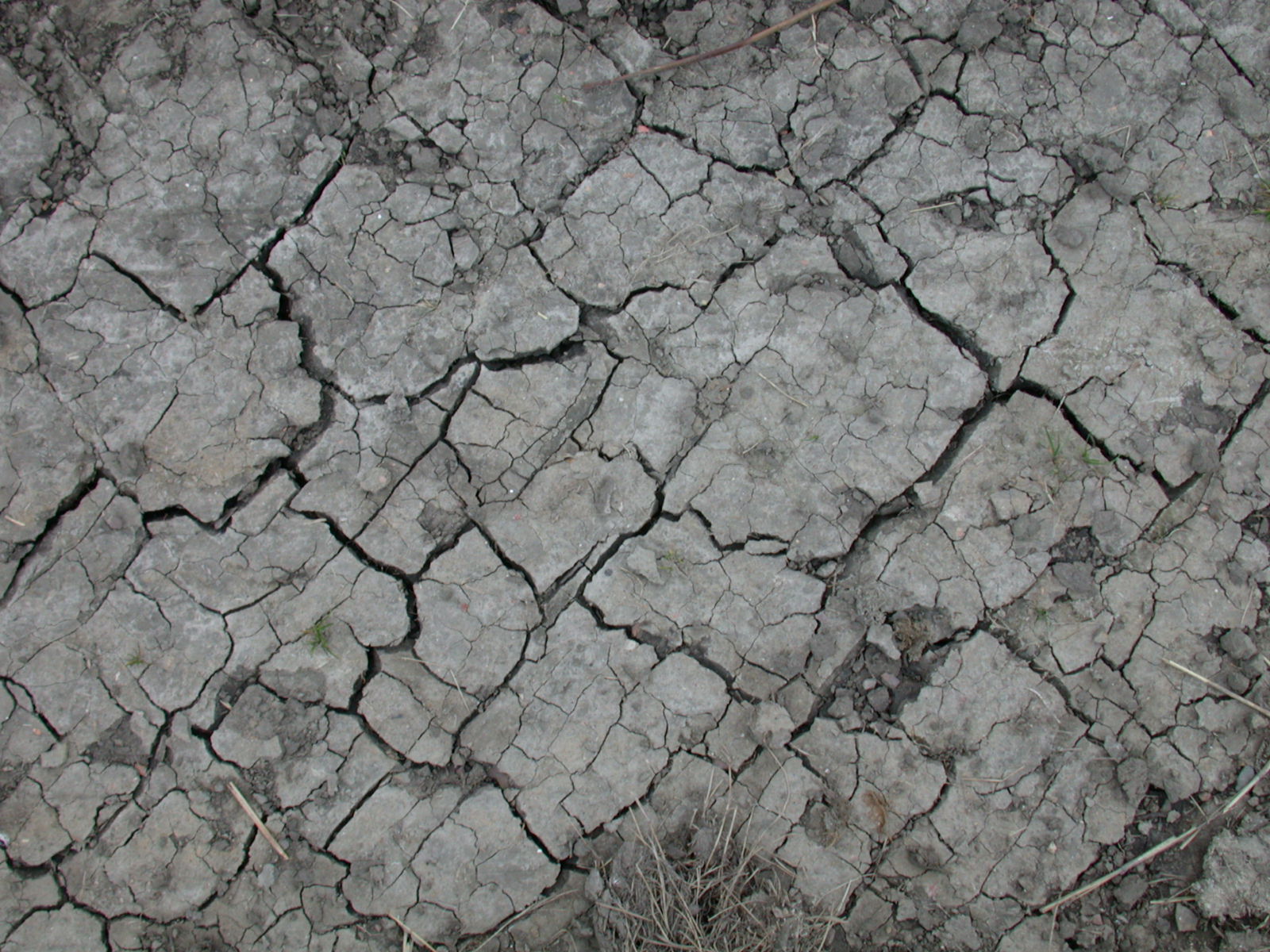 dry mud dirt gray cracks ground texture