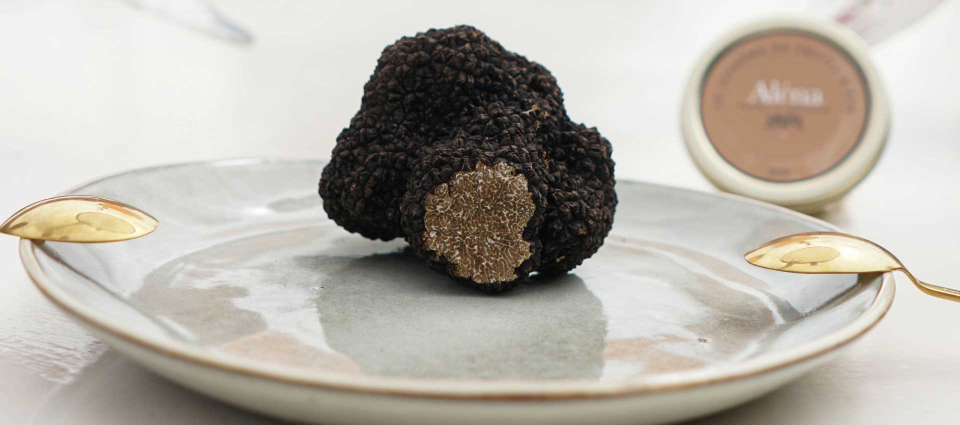 Truffe Al\u00e9na - Truffe fraiche, truffe noire et Supr\u00eame de truffe