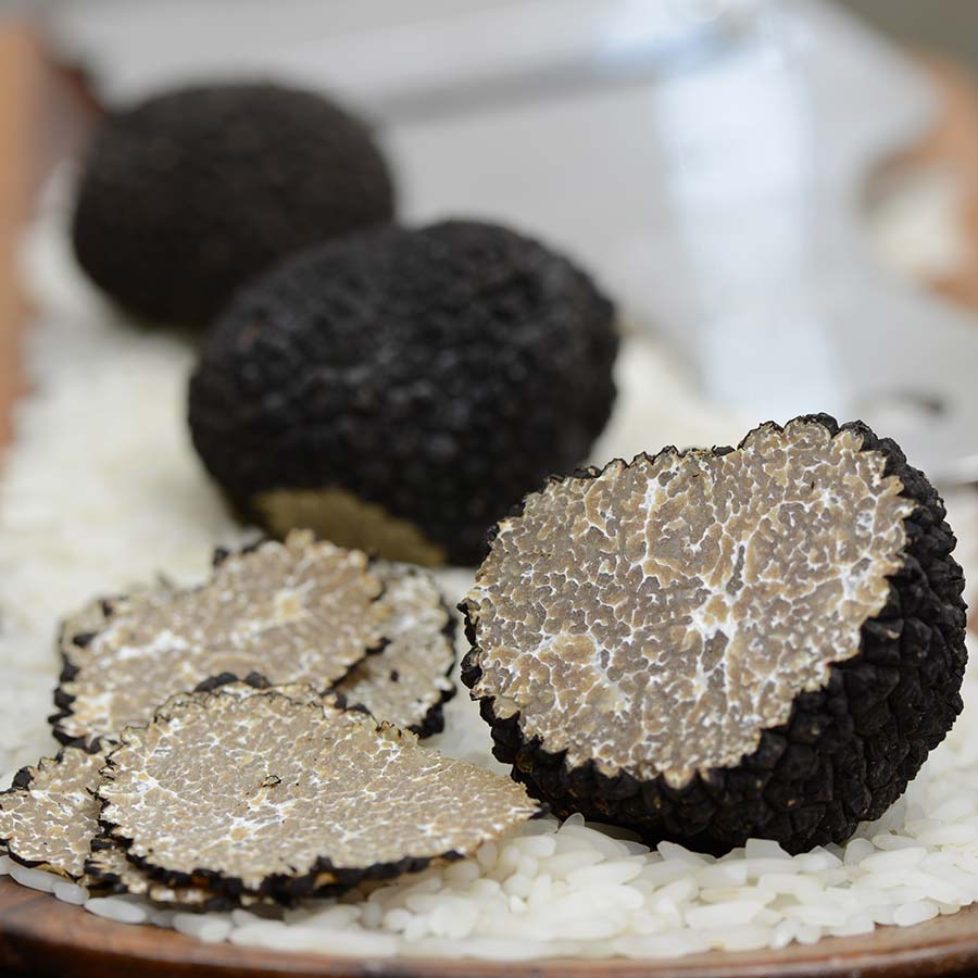 Buy Fresh Black Summer Truffles Online - Gourmet Food Store