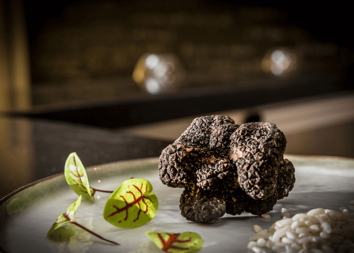 An Introduction to the World of Truffles