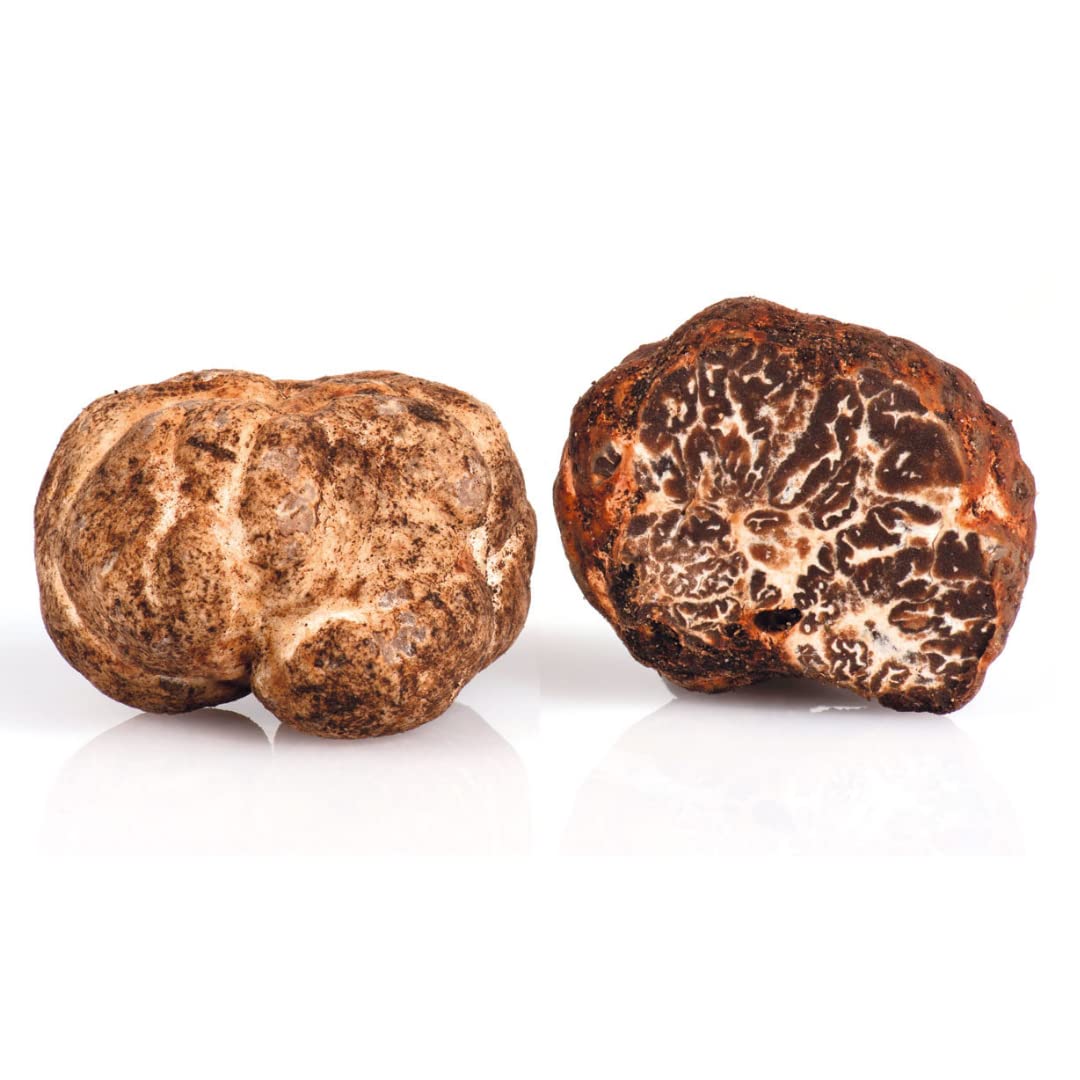 Fresh White Truffle bianchetto (Tuber borchii vitt.) 100 gr. / 3.52 oz. : Amazon.co.uk: Grocery