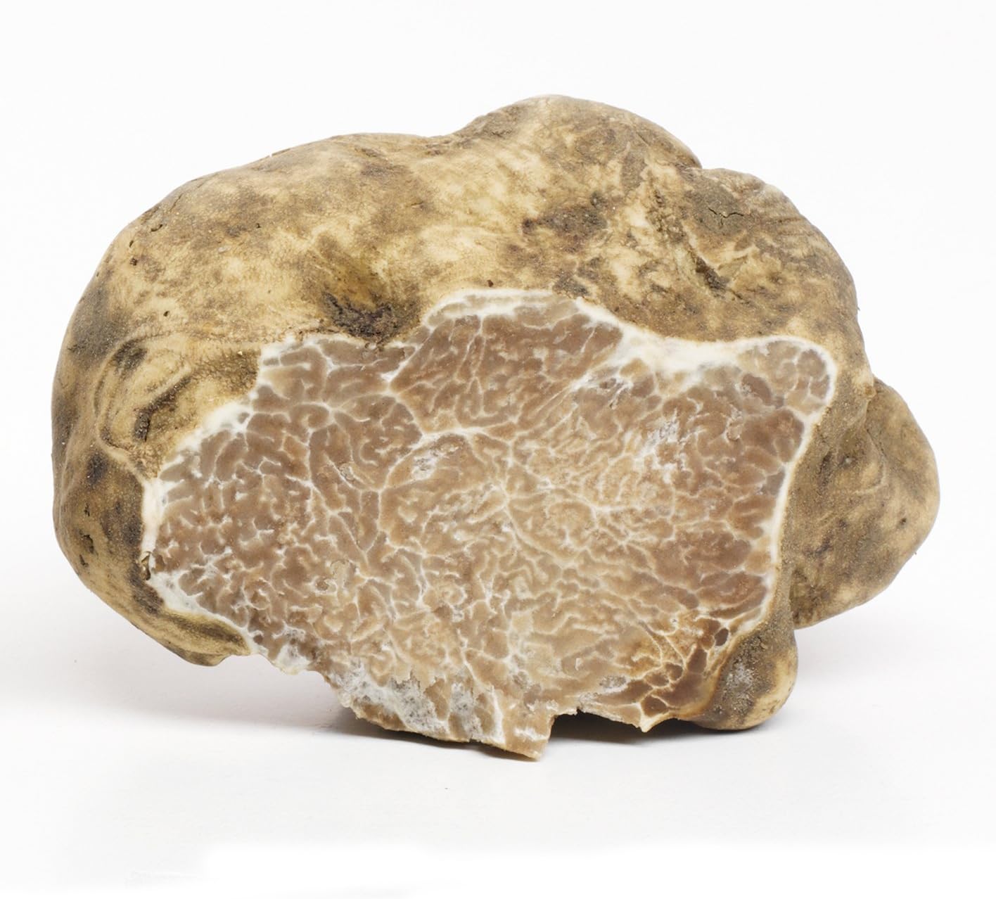 Fresh White Alba Truffle 50g : Amazon.co.uk: Grocery