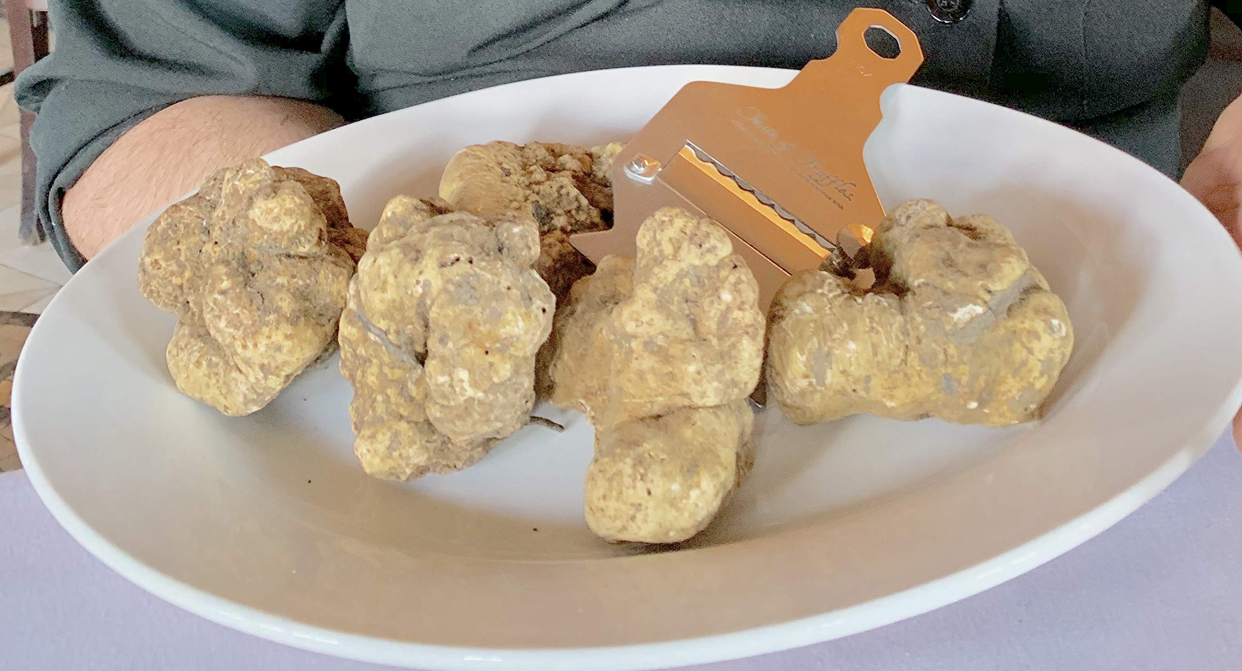 Amazon.com: 1 oz (28gr) Fresh White Truffles (Tuber Magnatum Pico) by Taste of Truffles : Grocery & Gourmet Food