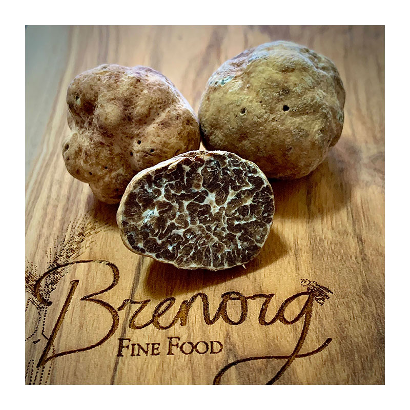 Bianchetto / Marzuolo Truffles (Tuber Borchii) - Brenorg O…